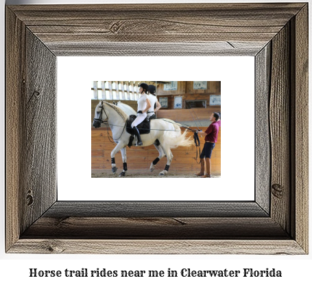 horse trail rides near me in Clearwater, Florida